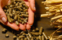 free Great Green biomass boiler quotes